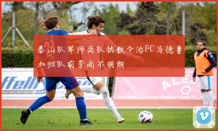 泰山队军师离队执教今治FC马德鲁加归队前景尚不明朗