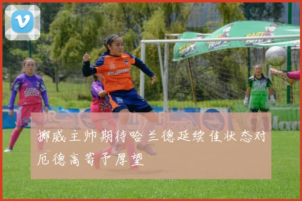 挪威主帅期待哈兰德延续佳状态对厄德高寄予厚望
